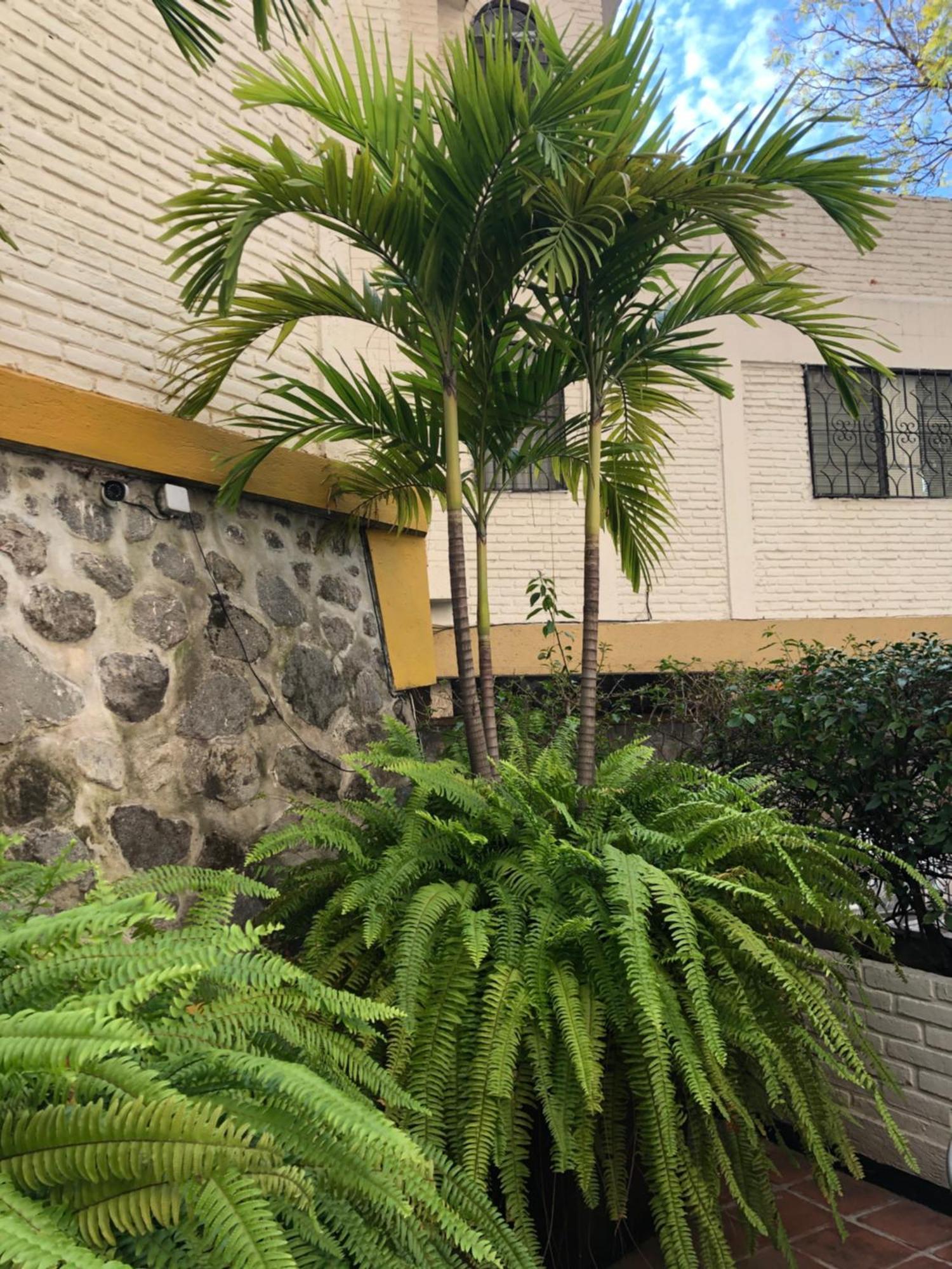 Hotel Ilebal Cuernavaca Centro - Lugar Con Encanto! Экстерьер фото