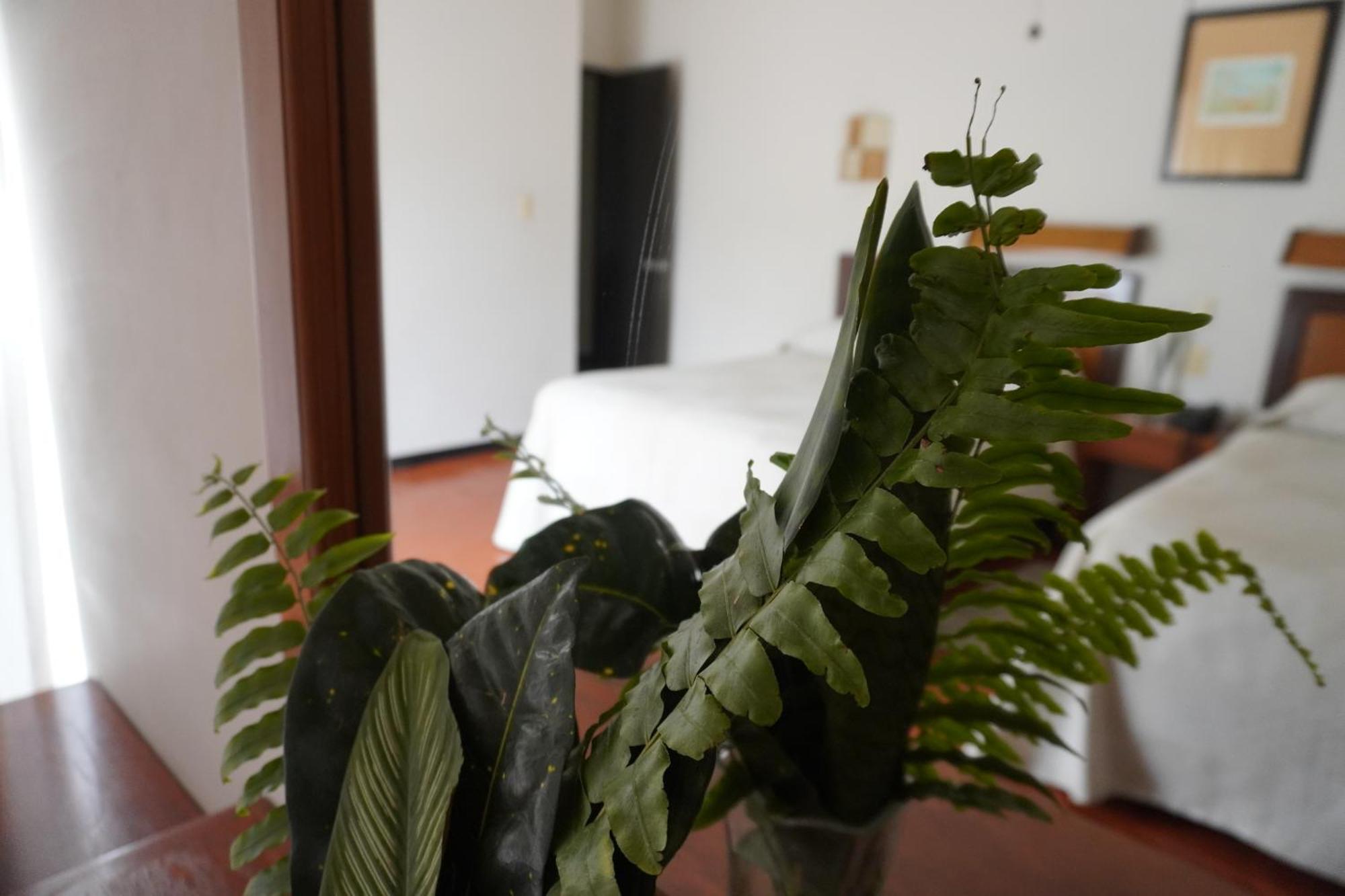 Hotel Ilebal Cuernavaca Centro - Lugar Con Encanto! Экстерьер фото